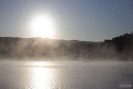 LSimwunderland